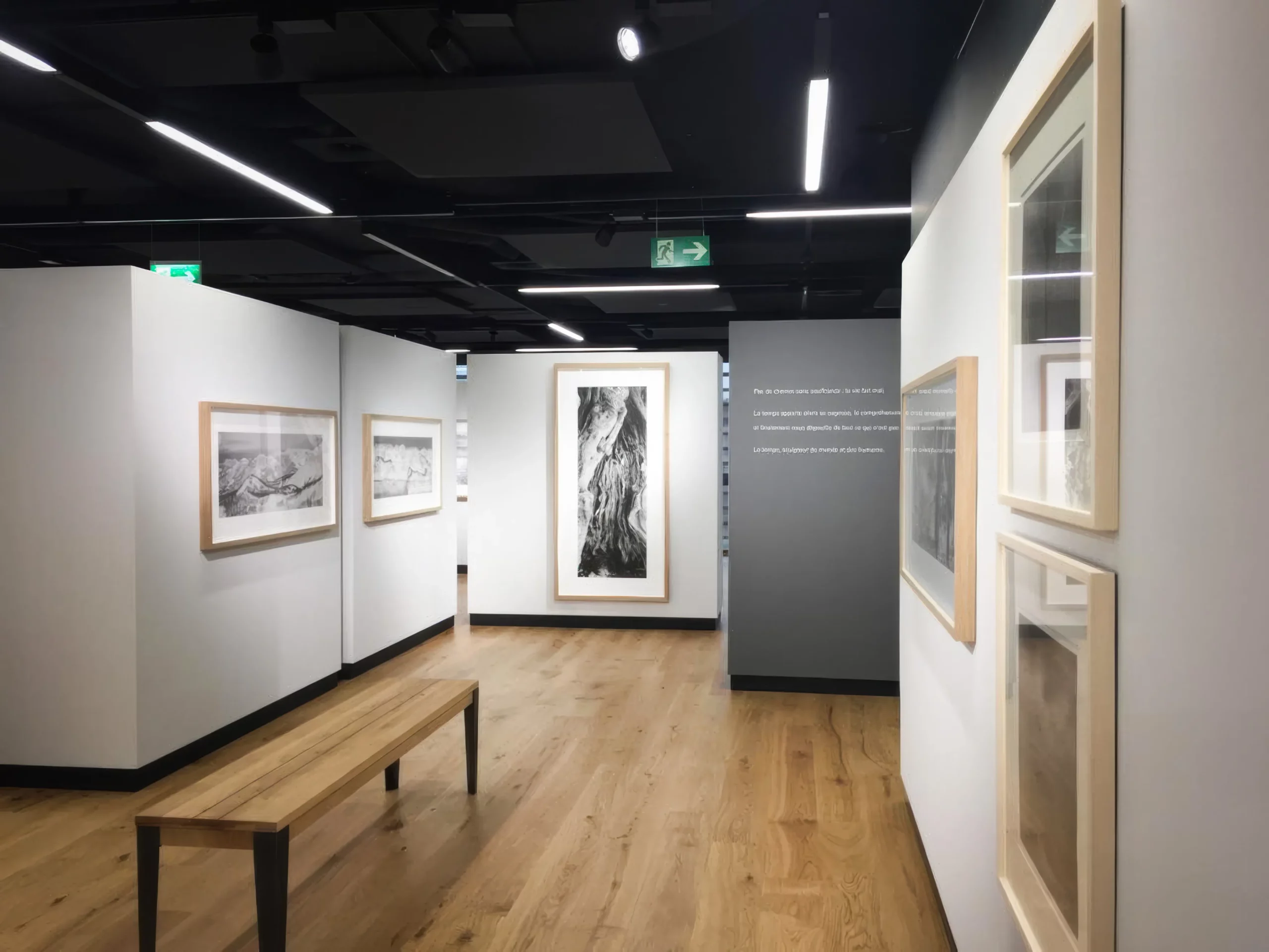 WhatsApp Image 2023-06-14 at 18.37.48-high fidelity v2-4x-light